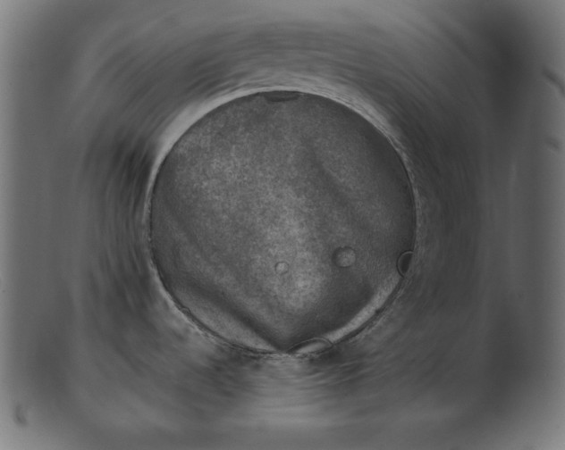 X0000103221536200809111457