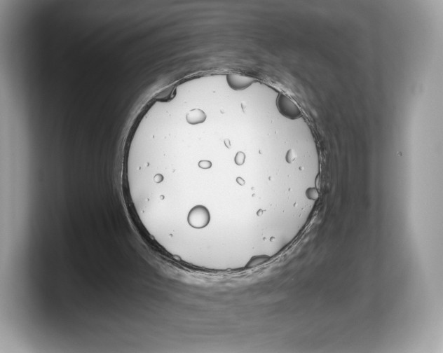 X0000103220003200809181513