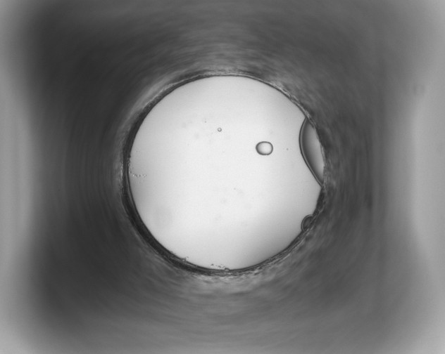 X0000103220005200809181513