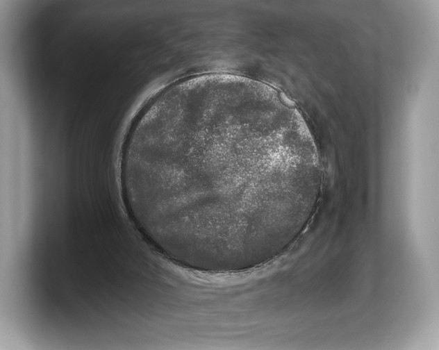 X0000103220006200809181513