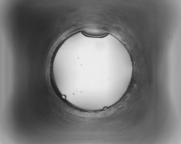 X0000103220007200809181513