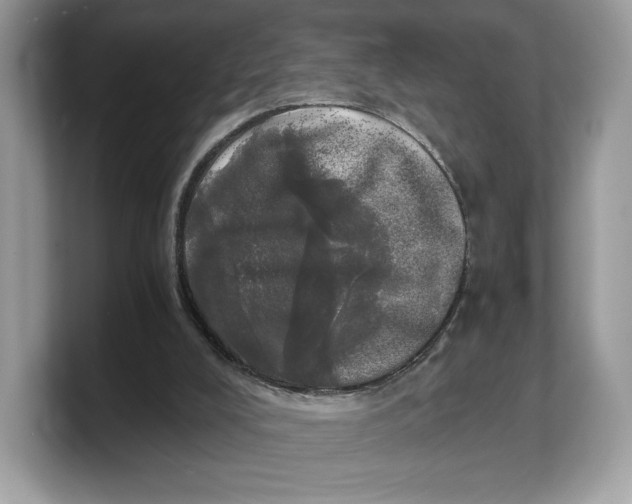 X0000103220008200809181513