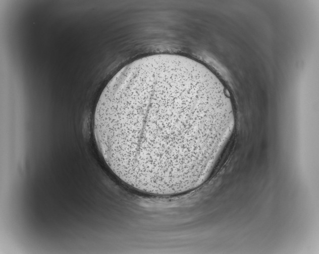 X0000103220009200809181513