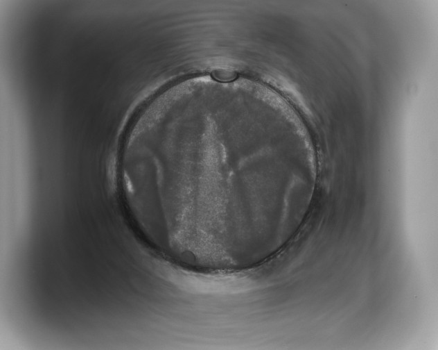 X0000103220012200809181513