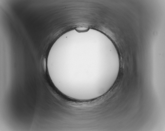 X0000103220013200809181513