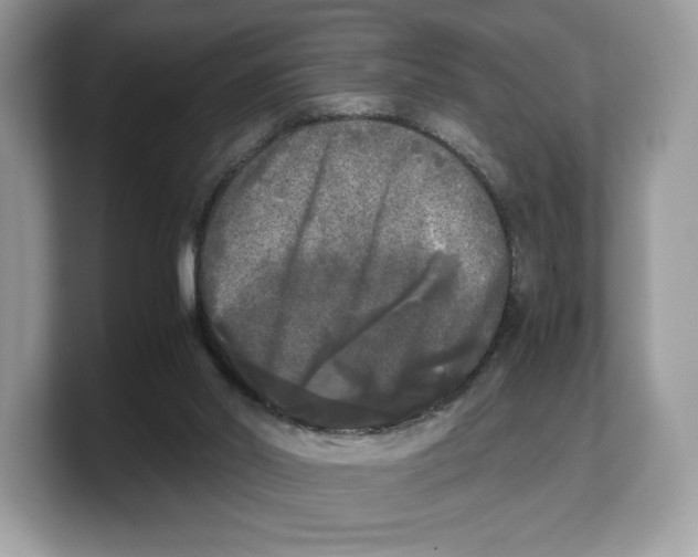 X0000103220014200809181513