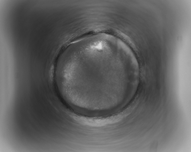 X0000103220018200809181513