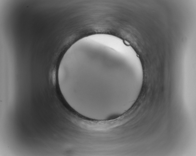 X0000103220019200809181513