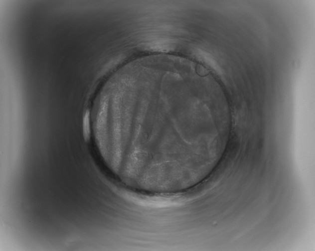 X0000103220020200809181513