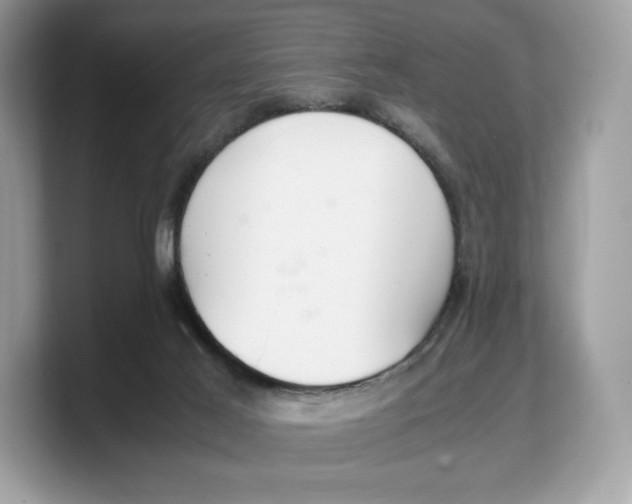 X0000103220021200809181513