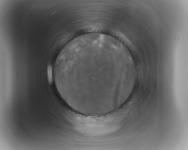 X0000103220022200809181513