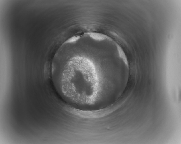 X0000103220030200809181512