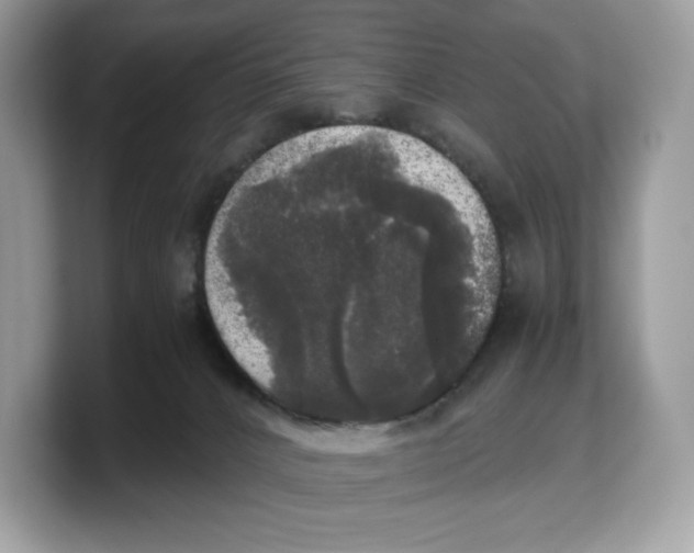 X0000103220032200809181512