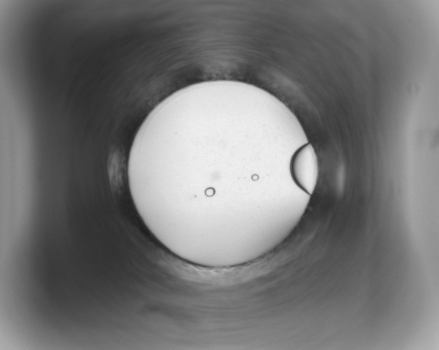 X0000103220038200809181512