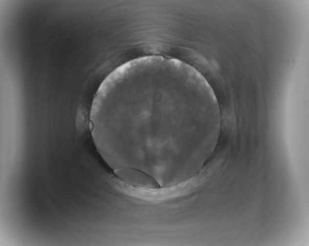 X0000103220043200809181512