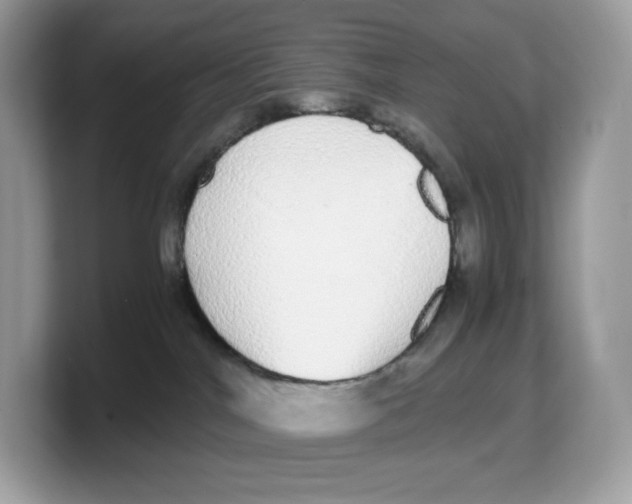 X0000103220044200809181512