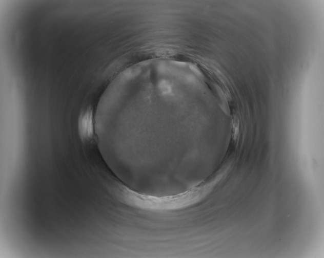 X0000103220046200809181512