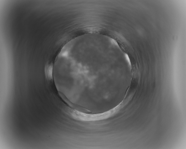 X0000103220047200809181512