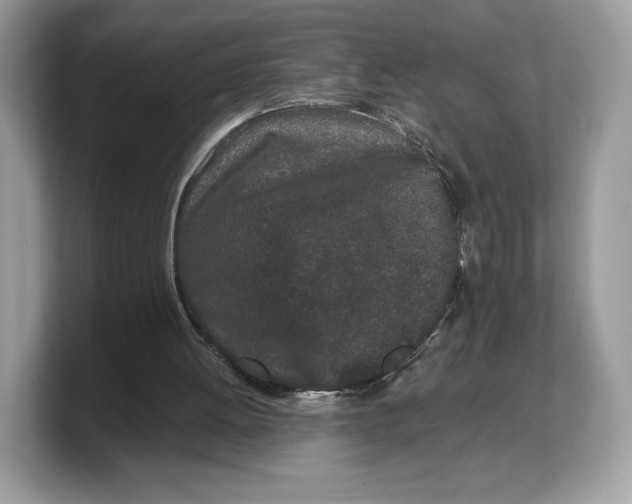 X0000103220052200809181512