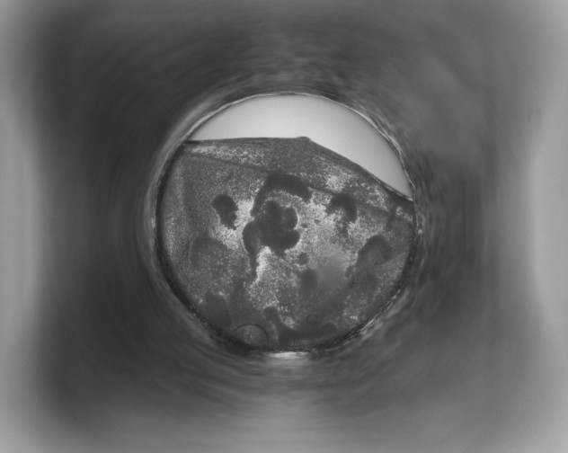 X0000103220053200809181512