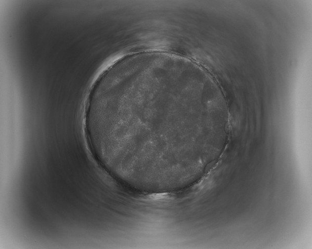 X0000103220054200809181512