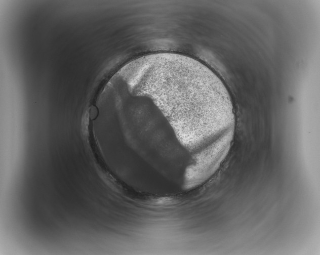 X0000103220058200809181512