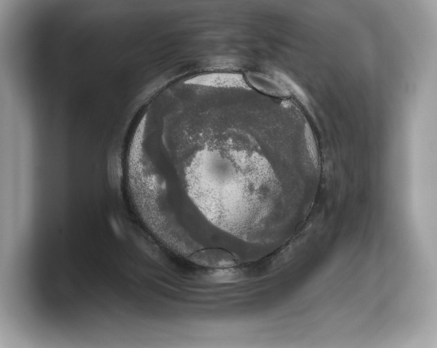 X0000103220059200809181512