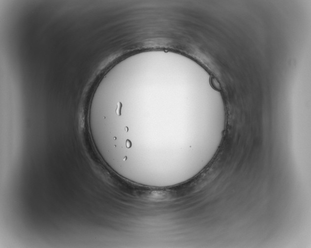 X0000103220060200809181512