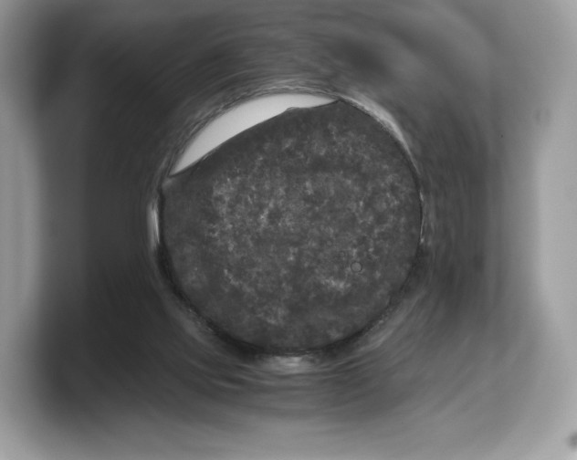 X0000103220061200809181512