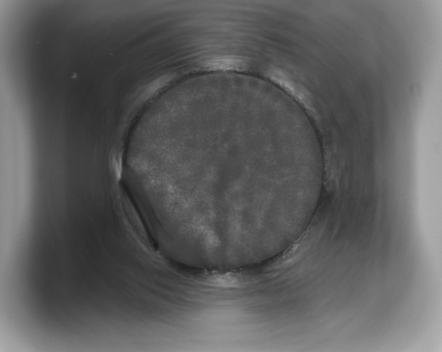 X0000103220062200809181512