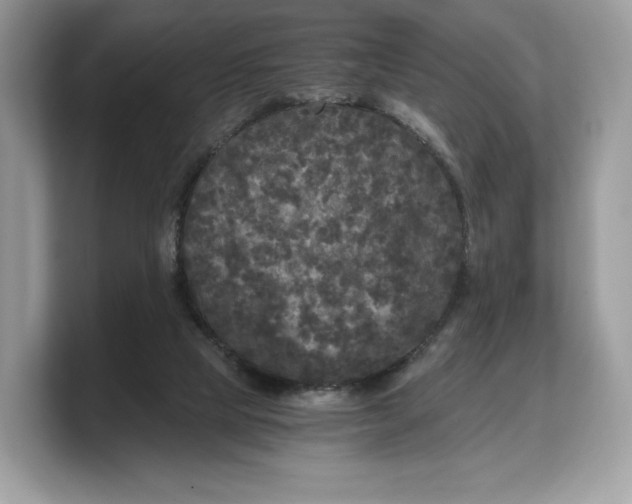 X0000103220065200809181512