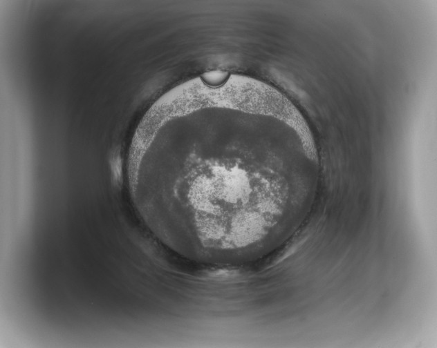 X0000103220067200809181512