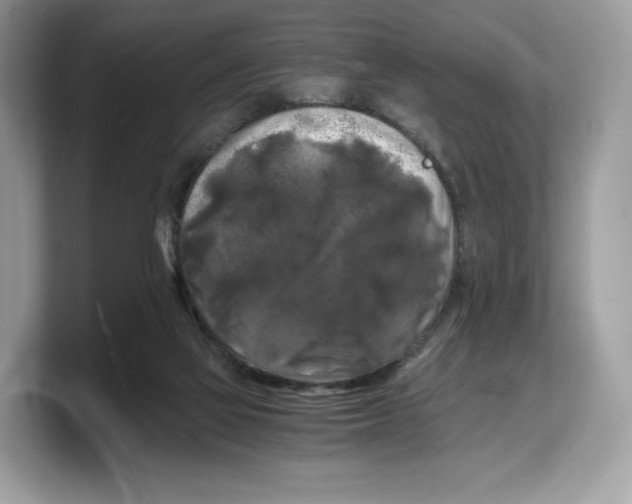 X0000103220069200809181512