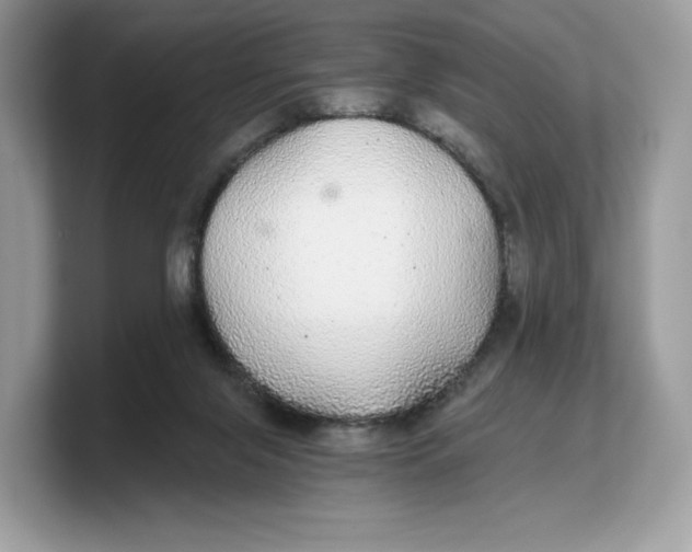 X0000103220071200809181512