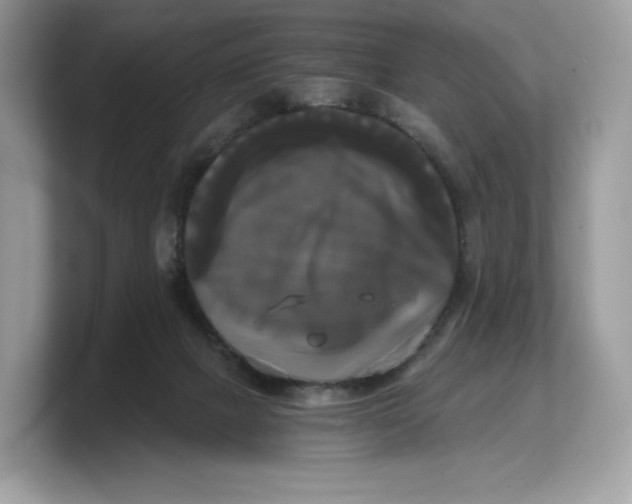 X0000103220073200809181512