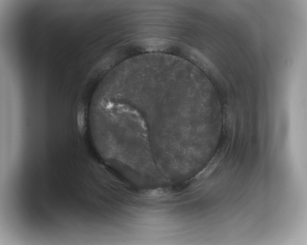 X0000103220074200809181512