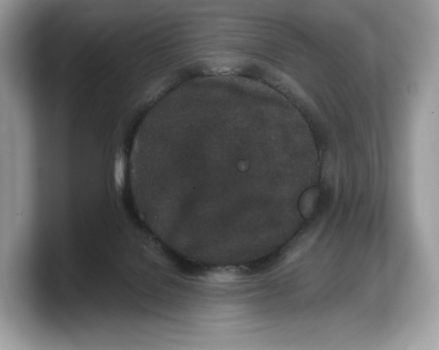 X0000103220076200809181512