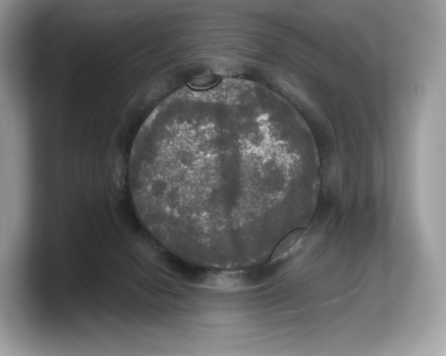 X0000103220078200809181512