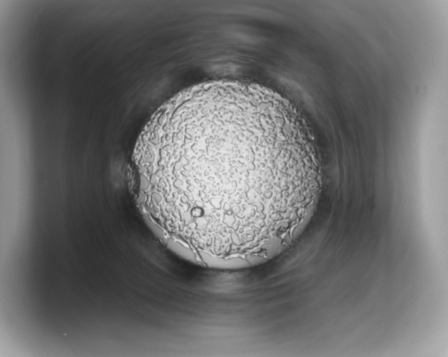 X0000103220081200809181512