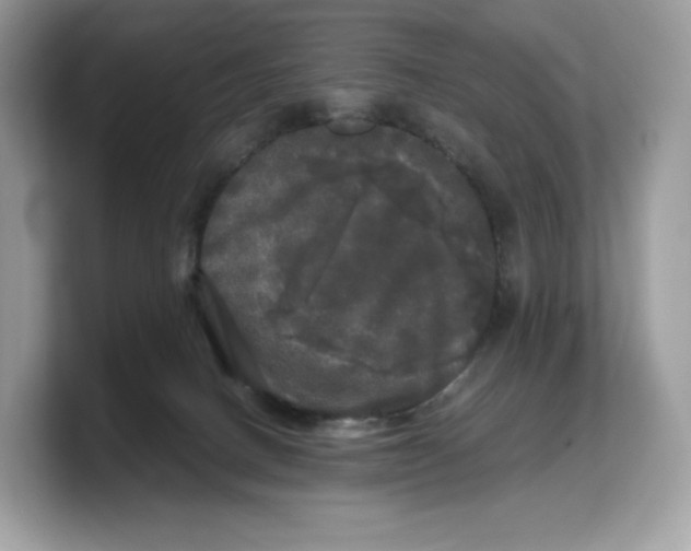 X0000103220082200809181512