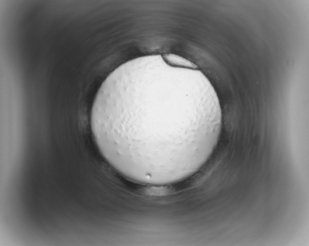 X0000103220085200809181512