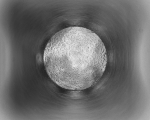 X0000103220089200809181512