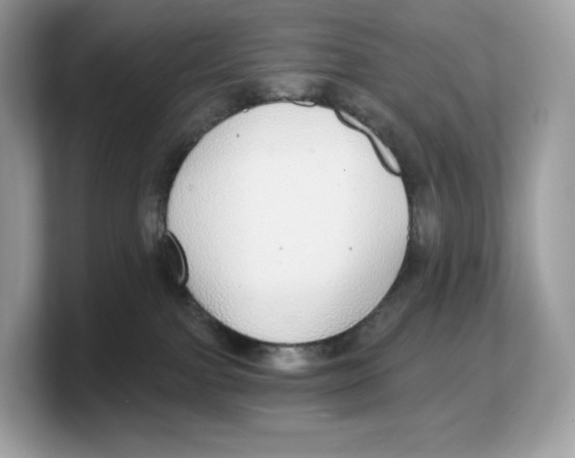 X0000103220091200809181512