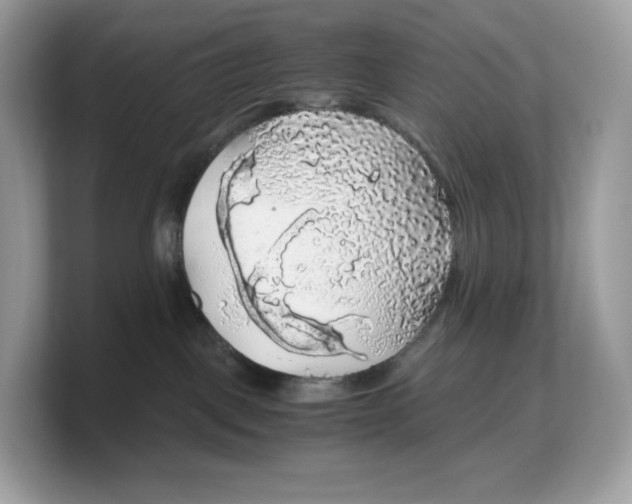 X0000103220093200809181512