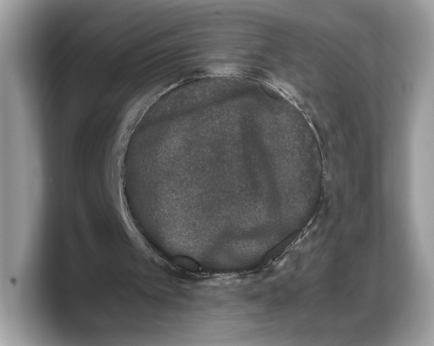 X0000103220097200809181512