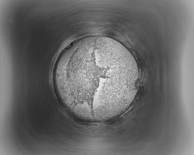 X0000103220099200809181512