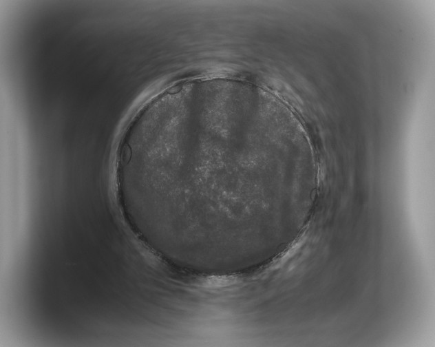 X0000103220101200809181512