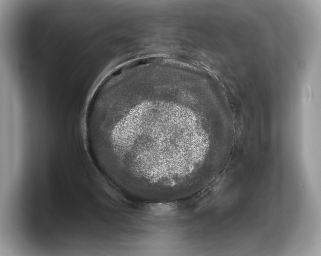 X0000103220102200809181512