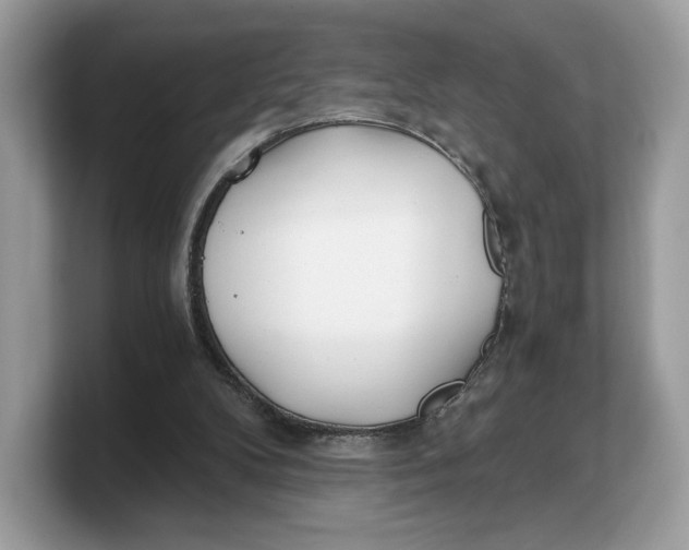 X0000103220104200809181512