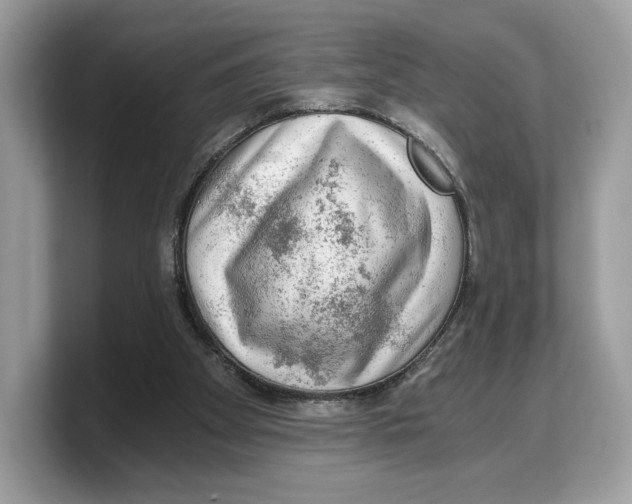 X0000103220105200809181511